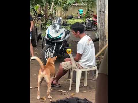 NGAYON NYO SABIHIN NA ASO LANG YAN🥺🥺#facebooklive #followers #viralvideo #followforfollowback