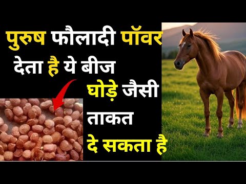 पुरुष को फौलादी पॉवर देता है 🌿 करंज के गजब फायदे: मर्दों के लिए अमृत! घोड़े जैसी ताकत दे सकता है! 🌿