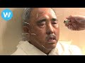 Exploring Traditional Chinese Medicine and Practices