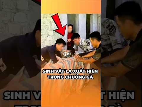 Sinh Vật Bí Ẩn Xuất Hiện Trong Chuồng Gà Khiến Cả Làng Hoảng Sợ!