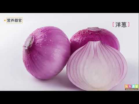 植物的器官   - YouTube