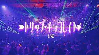 【LIVE映像】トリップ・チョコレイト/Zolpidem