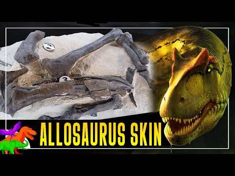 More Allosaurus Skin Impressions Found!