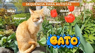 Sequência Infantil para Autistas  | Método Repetitivo: O Gato mia, anda, dorme e brinca 