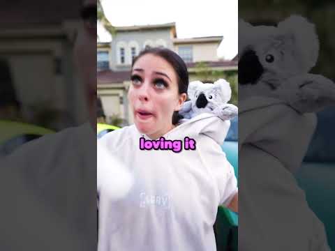 How many licks to finish prime?