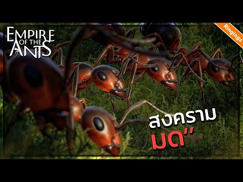 สงครามชายแดนใต้ มด vs ปลวก  - Empire of the ant ไทย #2