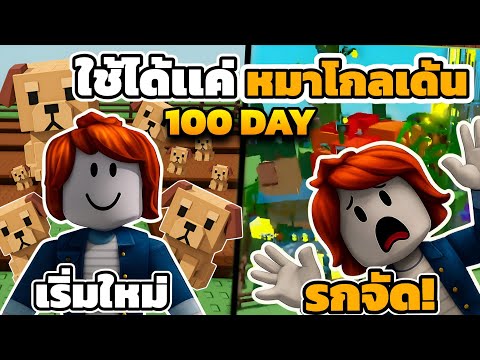 100 วัน เริ่มจาก 0 ด้วยหมาโกลเด้น 8 ตัว ไม่ซื้อผล ไม่เติมผล ไม่ขอผล จนสวนรถ Roblox Grow a Garden