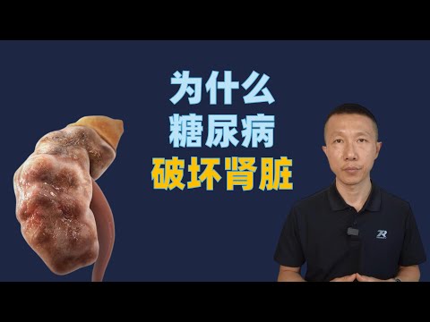 为什么糖尿病会破坏肾脏以及如何预防和管理