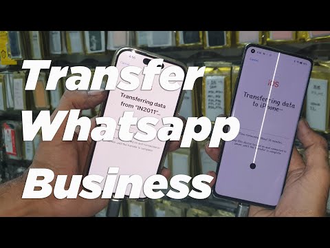 Transfer Whatsapp Business data into iPhone