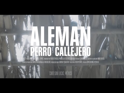 Perro Callejero de Aleman Letra y Video