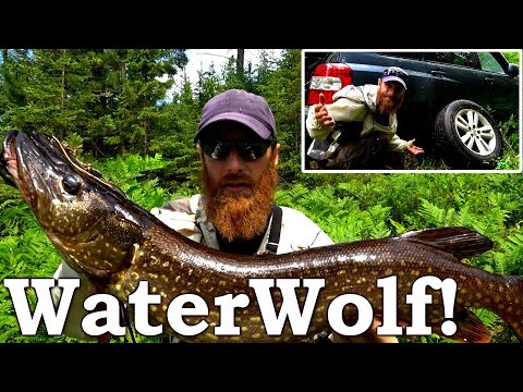 EXPERIMENT: Sport-Fishing for FOOD! - Eating Only Wild for 365 DAYS