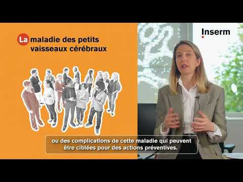 AVC - Démence Maladie des petits vaisseaux Stéphanie Debette - Grand Prix Inserm 2024