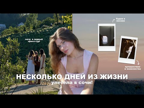 несколько дней из жизни | лечу в сочи в пресс-тур