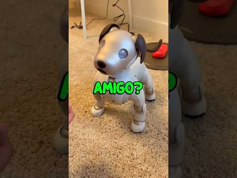 Qual robรด vocรช quer? ๐คโค๏ธ