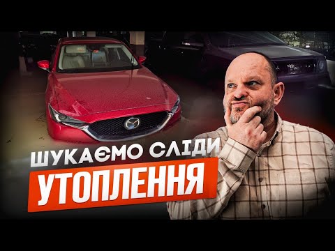 Топлене авто — гарантія проблем чи можна ризикнути? | 1-AUTO | Автопідбір Україна