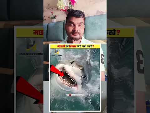 machhali ko kyon jiba nahin karte ☝️#ejajulurduislamic #motivation #education #islamiccontent