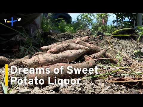 YouTube video thumbnail: Turning Taiwan's Most Iconic Sweet Potato Into Liquor