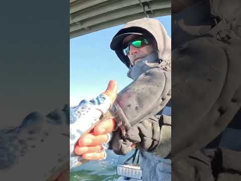 How to Get a New Boat… #fishing #boating