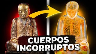9 momias que dejaron a los científicos sin palabras: sus cuerpos siguen intactos tras miles de años