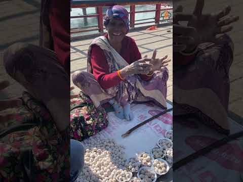 "Haridwar Mein Machhliyon Ko Khana Khilaya | Ghat Ka Pyara Pal 🐟🙏"