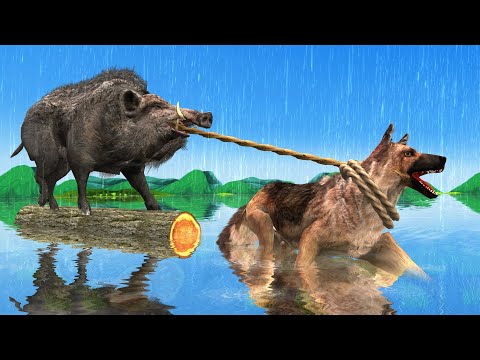 आलसी सुअर और चालाक कुत्ता की दोस्ती Lazy Wild Pig and Dog Friendship Story Moral Stories in Hindi