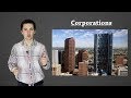 Corporate Structure and Shareholder Rights