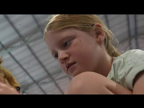 Un camp d'été pour aider les enfants endeuillés
