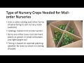 Nursery Management Challenges and Practices
