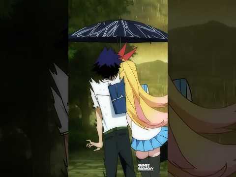 Il PARTAGE son PARAPLUIE avec ELLE 😊 | Nisekoi | #anime #animeedit #shorts