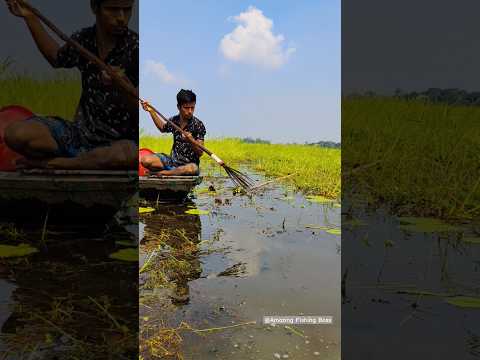 Top&Unique Fishing❤️ Traditional Fish Catching With Bamboo tools Tata Trap ? #shorts #fishing
