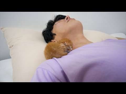 What Happens When You Sleep with a Kitten?