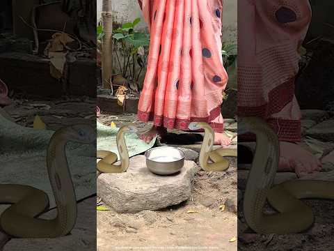 दुर्गा माँ और काली लड़की || माता रानी और भक्त |