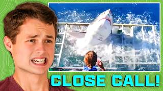 SCARIEST Shark Videos of ALL TIME! - Ray Reacts Ep. 3