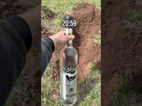 🔥Закапываем Водку 3литра🔥 #blatowvinodel #блатоввинодел #рекомендации