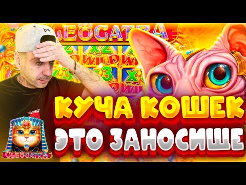 КОТЫ СОШЛИ С УМА! ЗАНОС ЗА ЗАНОСОМ?! (ЛУЧШИЕ ЗАНОСЫ) #madmaxstream #maxwin #казино