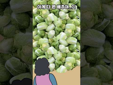 절인 배추 200포기를 말도 없이 보낸 시어머니 퇴치하는법