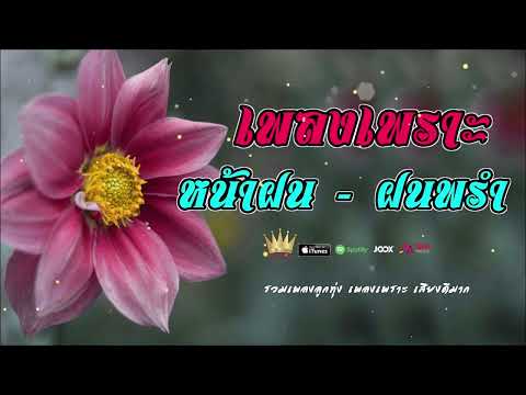 รวมเพลงเพราะ หน้าฝน - ฝนพร่ำ ฟังฉ่ำๆเพราะๆ