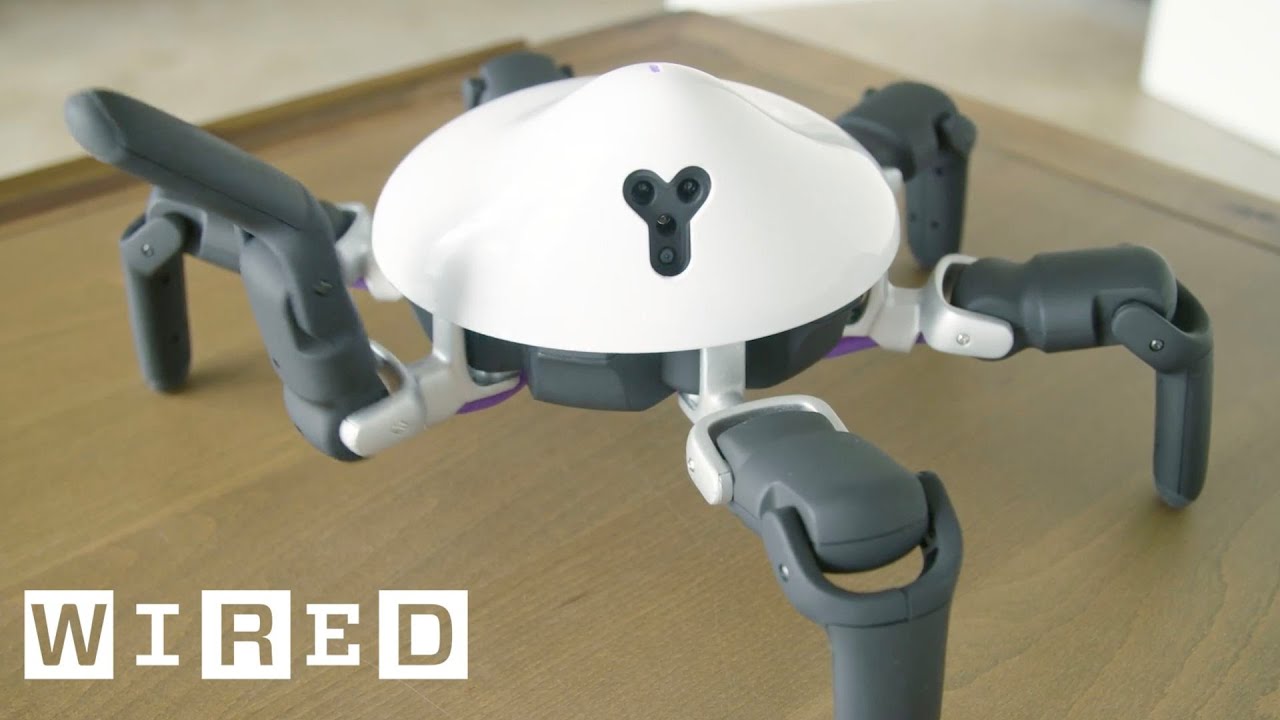 Biobots: Snakebot, Batbot, and More Robots Inspired by Nature