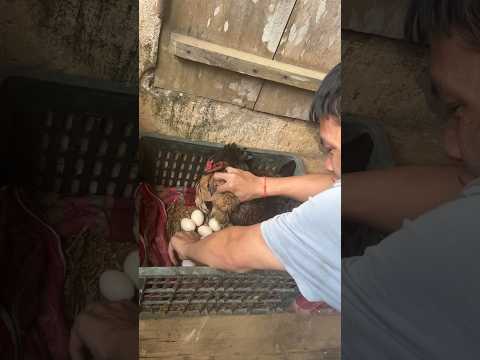 The homeless old man picked up boiled eggs with a plastic bag and the ending was delicious😋!#shorts