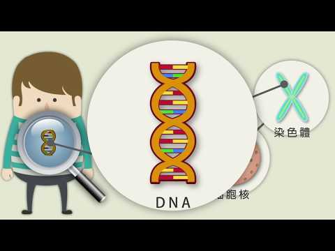 基因與生物 - YouTube