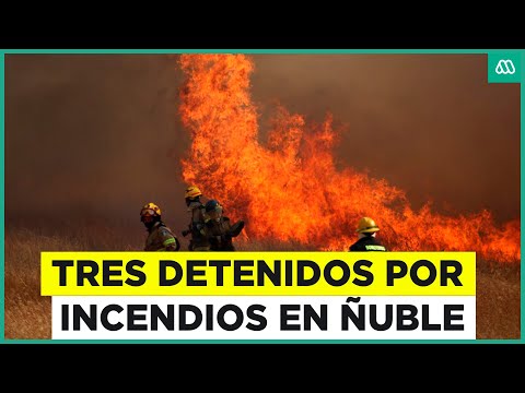 Tres detenidos por incendios forestales en Ñuble: Llamas consumieron casas