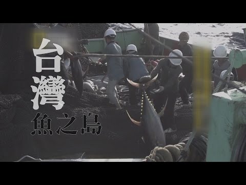 3  《藝想世界》紀錄片《綻放真台灣》 台灣''魚''躍國際 - YouTube(3分01秒)