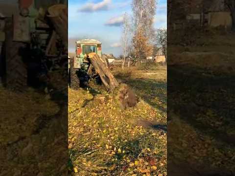 КАК СТАРЫЙ ТРАКТОР ЭТО ДЕЛАЛ?
