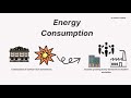 Understanding the Carbon Cycle Concepts