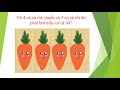 Carrot Counting and Subtraction Concepts