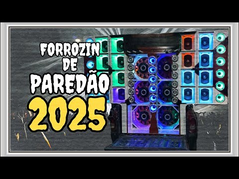 FORROZIN DE PAREDÃO FEVEREIRO 2025 | TUFFY TUFFY | SELEÇÃO DAS MELHORES