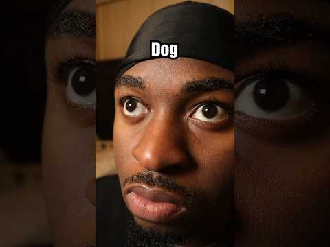 Dog buttons 2 #comedy #shorts
