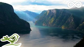 Beautiful Relaxing Music  Norwegian Nature & Violin, Flute, Piano & Harp Music