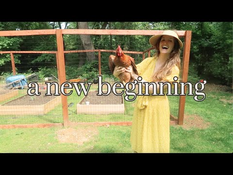 We're starting a farm in our backyard (year one progress)