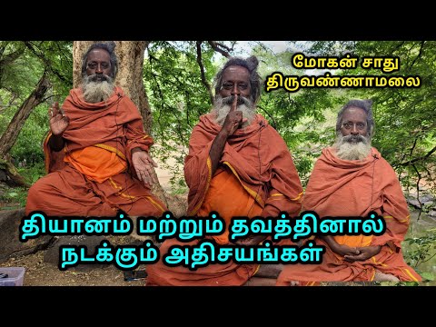 தியானம் மற்றும் தவத்தினால் நடக்கும் அதிசயங்கள்😳👏மோகன் சாது திருவண்ணாமலை🙏🕉 | #Tiruvannamalai #sathu